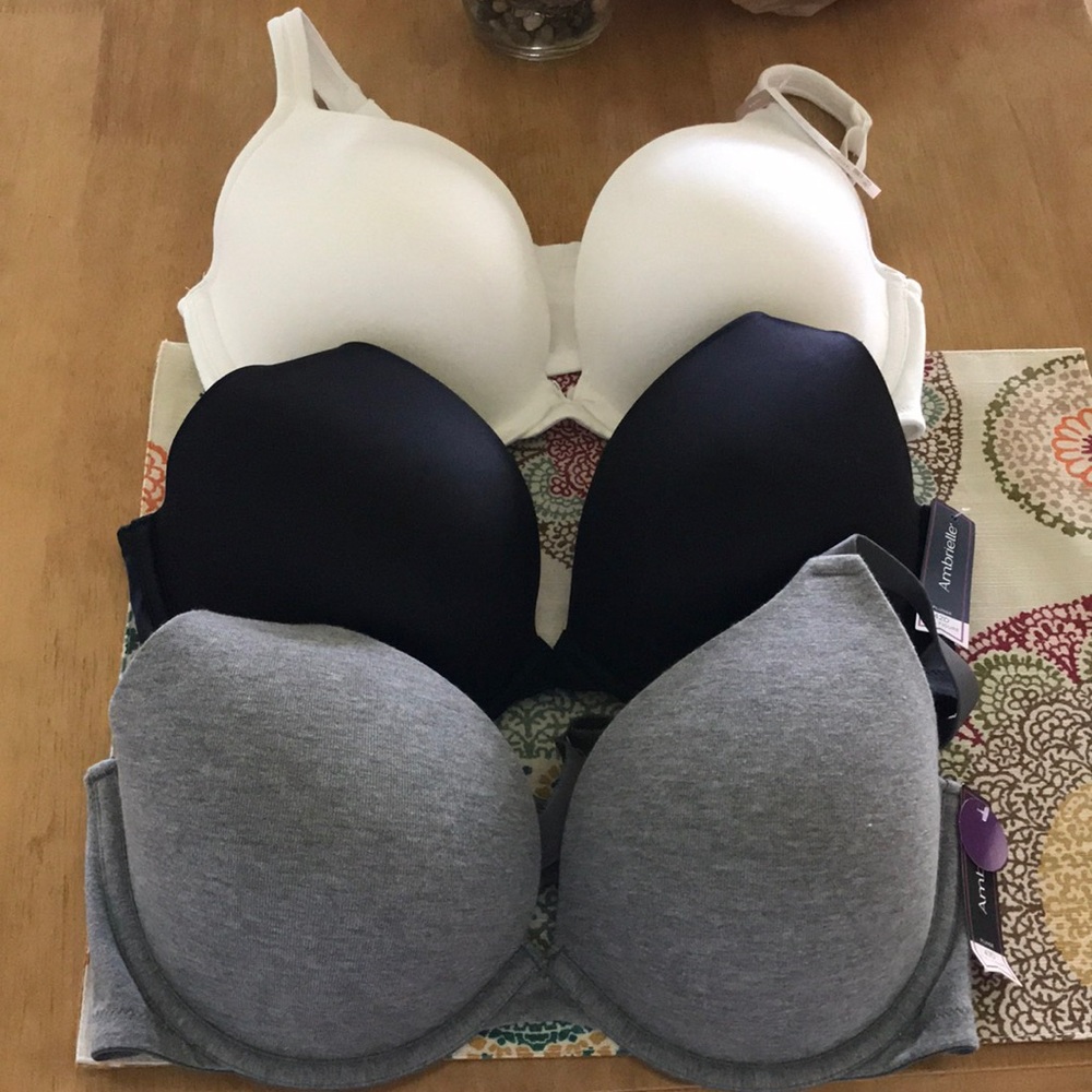 Ambrielle Full Figure Plunge Bras
